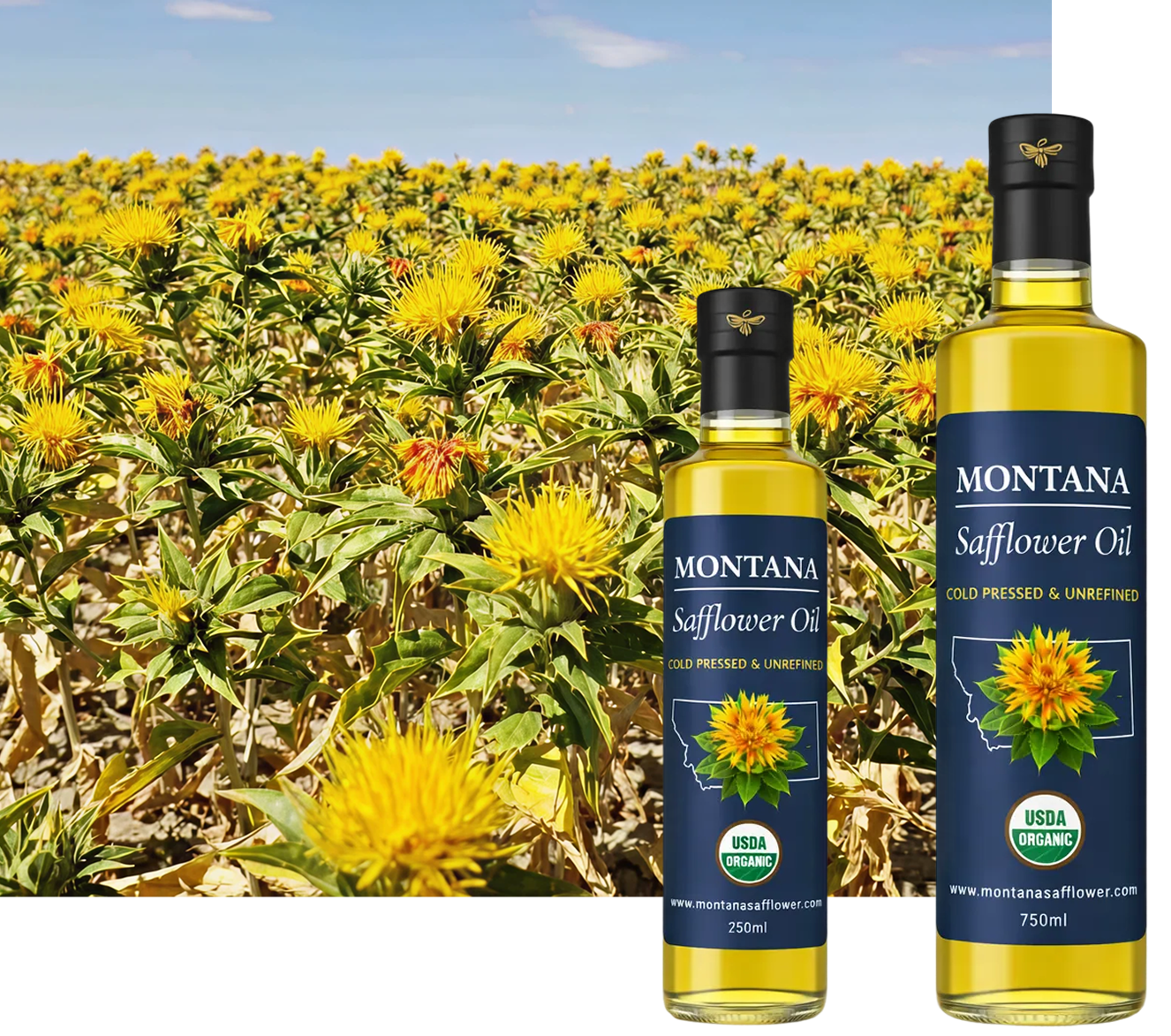 Safflower oil bottles in blooming field